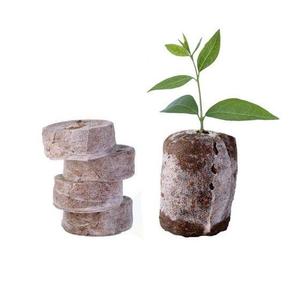 Pastilles de mousse de noix de coco et de menthe biodégradables, 100% écologiques, prix de gros, bon marché, haute qualité - Product Image 1