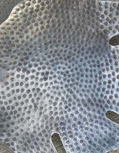 Plateau de service en métal gris de haute qualité avec motif feuille, idéal pour une présentation élégante sur table, pour les hôtels et pour une présentation raffinée des aliments. - Product Image 3