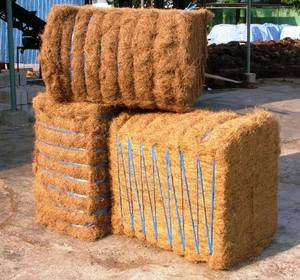 แผ่นมะพร้าวไฟเบอร์สำหรับผลิตที่นอนแผ่นใยมะพร้าวเป็นมิตรต่อสิ่งแวดล้อม - Product Image 6