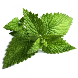 Aceite esencial de menta de maíz natural puro 100% para aromaterapia y cuidado de la piel - Product Image 6