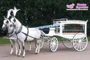 Chariot luxueux, classique en forme de cheval avec dessin pédicure, nouveau Style, sportif, boutique royale Vintage, cheval et cercueil, collection - Product Image 4