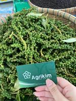 Poivre noir épicé pur à 100 %, nouvelle récolte certifiée ISO du Vietnam, 500 g/l, poivre cru séché MC, procédé de séchage AD, meilleur prix