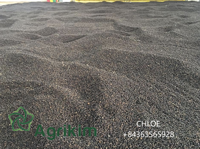PIN HEAD PEPPER – Getrockneter schwarzer Pfeffer aus Vietnam, 1mm-2mm, Rohkräuter-Exportsorte, getrocknet mit AD-Verfahren +8436 3565 928