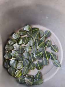 High Quality Exclusive Handmade Green <b>Glass</b> <b>Beads</b> Top Selling Latest <b>Crystal</b> <b>Lampwork</b> Design Exclusive <b>Crystal</b> <b>Lampwork</b> <b>Beads</b> - Product Image 4