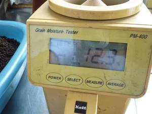 Pimienta negra, especias individuales, pimienta negra, precio 550/500gl - Product Image 4