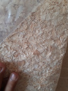 Afeitado de madera de Vietnam, virutas de madera para aves de corral, ropa de cama, madera de pino, buen precio, venta al por mayor - Product Image 2