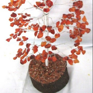 With Good Carnellian Tree 500pcs <b>Chips</b> : Carnellian Tree 500pcs <b>Chips</b> for Sale - Product Image 1