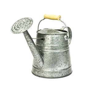 <b>Garden</b> Ware Planting Galvanized Water Can Elegant Quality Modern Design Flower Plant Watering Can for Backyard - Product Image 2