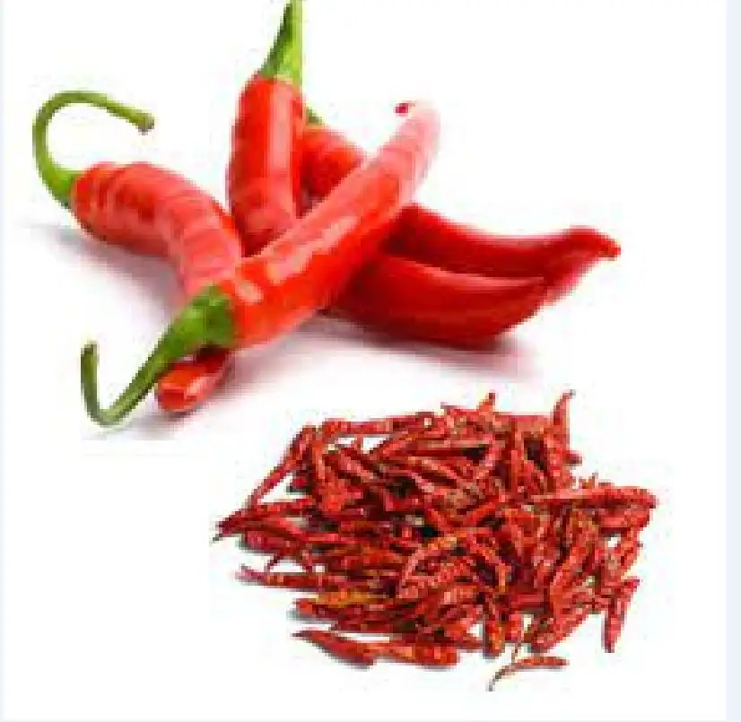 Pimienta roja dulce seca, Paprika dulce completa, pimienta roja seca de Vietnam / (Ms) KIO HYUNH + 84 34 375 8904