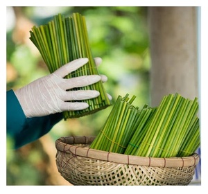 Wholesale <b>Drinking</b> Grass <b>Straws</b> From Vietnam - Environmentally Friendly <b>Drinking</b> <b>Straws</b> ([Ws0084587176063] - Product Image 3