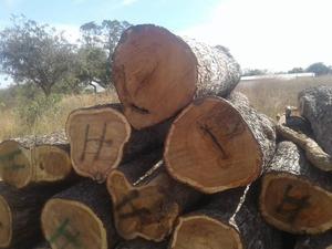 Logs de carvalho branco vaneer para madeira - Product Image 2