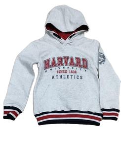 Sudadera con capucha para hombre 100% algodón con cremallera, forro polar grueso de polialgodón, antiencogimiento, estampado liso, logotipo personalizado, suministro ODM para invierno - Product Image 1