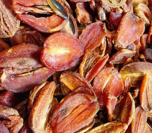SAFIMEX Chiku แห้งนุ่มหั่นบางๆไม่มีน้ำตาลเพิ่ม/อบแห้ง Sapota หรือ Sapodilla หั่นบางๆจากซัพพลายเออร์เวียดนาม - Product Image 6