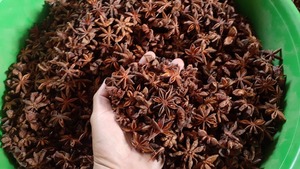 Star Aniseed พรีเมี่ยมจาก phalco Viet Nam - Product Image 6