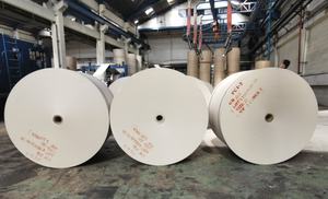 Rouleau gris de carton gris de rigidité pour faire des boîtes de papier d'emballage de Tube de papier - Product Image 4