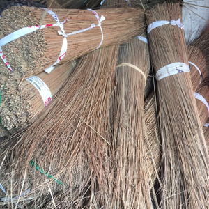 ใหม่!!! ใบมะพร้าวติดจากเวียดนามที่มีมาตรฐานการส่งออกสูงและราคาที่แข่งขันใน2023 [ทางเลือกที่ดีสำหรับคุณ] - Product Image 3