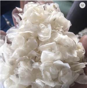 MS Mary ซื้อเกล็ดปลาแห้งผลิตจากคอลลาเจนปลาแบบญี่ปุ่นเกาหลี - Product Image 4