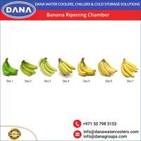Nouvelle chambre de maturation Dana Banana, garantie 1 an, certifiée ISO/CC/IIC, 380V triphasé AC, hôtels, restaurants, commerce de détail, fabrication