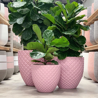Pot de fleurs en ciment, bon marché, pour orchidées, fait à la main, bon marché, bonne qualité, finition naturelle