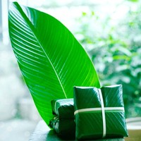 Feuilles de Dong entières pour emballer le gâteau Chung, emballage en vrac, feuilles de Dong fraîches pour l'emballage alimentaire