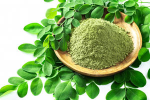 Polvo de Moringa Oleifera al mejor precio y alta calidad Vietnam - Product Image 3
