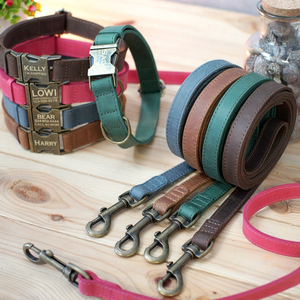 Leather Dog <b>Leash</b>, Personalized Dog <b>Leash</b> 5 Ft, <b>Pet</b> <b>Leash</b> for Dogs Small Medium Large, Dog <b>Leash</b> Pink Green Blue Brown - Product Image 1