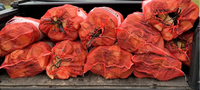Bois de chauffage séché de haute qualité, 5 pièces de bois, chêne clair, épicéa, hêtre, oiseau pour combustion, sans taxes 100%