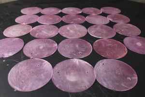 Concha de mar Natural de Color Natural, 100000 unidades, caja de cartón náutica - Product Image 5