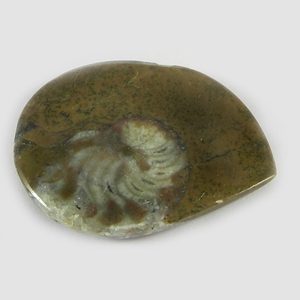อัญมณีแฮนด์เมด Cabochon สวยงามแฟนซี29X35มม. สีน้ำตาลธรรมชาติ Ammonite 7.70 Gms - Product Image 5