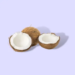 Food & beverage desiccated coconut low fat fresh young organic mature coconut dry fruits coconut chips