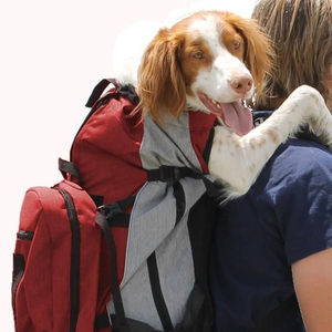 Sac de transport pour animaux de compagnie, accessoire pour les chiens et les chats, idéal pour voyager, collection 2020 - Product Image 1