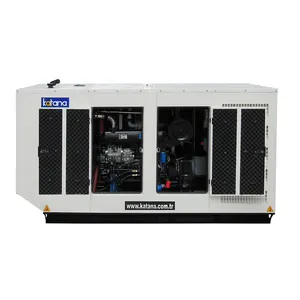 Professionale di vendita calda elettrico generatore 200kva diesel centrale elettrica