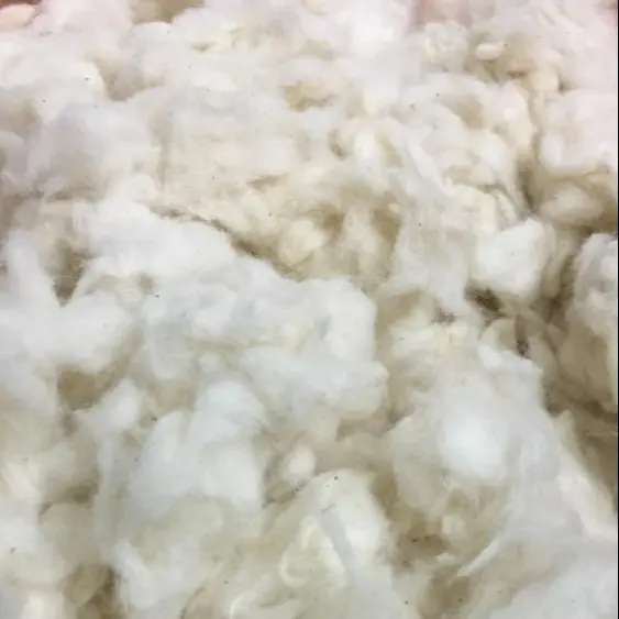 Cotton Comber Noil, Bleached Cotton - Ms. Claire