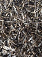 Anchois séchés du Vietnam disponibles - Seafood(dot)linda(at)gmail (dot)com Durée de conservation de 2 ans