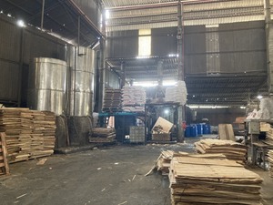 Pegamento de madera contrachapada de tamaño estándar de alta calidad 1220x2440m E0 E1E2 Proveedor de oro Bintagor/Okoume Face para embalaje de construcción Precio - Product Image 2