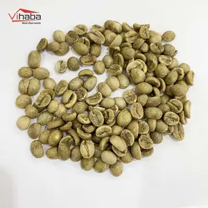 커피 콩 가격 뜨거운 판매 체중 감소 녹색 인스턴트 커피 Robusta Unroasted Plantation 체리 콩