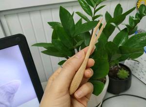 Horquillas de coco naturales ecológicas, productos de decoración para el hogar, coco, hecho en Vietnam - Product Image 4