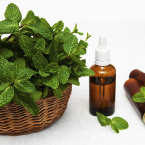 Aceite esencial de menta de maíz natural puro 100% para aromaterapia y cuidado de la piel - Product Image 2