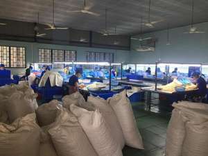 W320เม็ดมะม่วงหิมพานต์คั่วแบบออร์แกนิกจากโรงงานชั้นนำ - Product Image 5