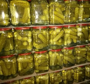 Concombre marbré, cornichon, concombres BAYBY - Product Image 6