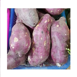 Batata Amarilla y Roja de Vietnam en Cubos y Rodajas, Fresca, de Primera Calidad, Envasada al Vacío, Personalizable, Congelada, Frita (LQF) - Product Image 1