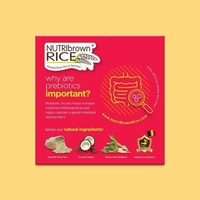 Ready Stock + Fast Shipping NutriBrown Rice Natural Instant Brown Rice Beverage Powder Prebiotics Multiple Flavors (35g Sachet)