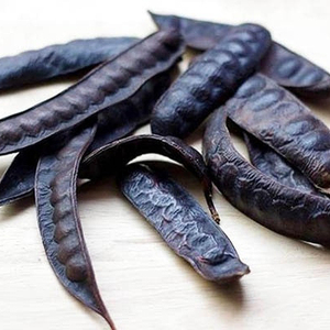 Criquet séché-Gleditsia - Product Image 1