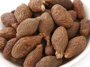 ส่งออกเมล็ดสเตรคิวเลีย ลิคโนโฟรา / ยางหวานไต้หวัน / เมล็ดมาลวา ราคาถูก คุณภาพสูง ราคาดีที่สุด - Product Image 6