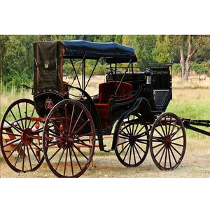 Carruaje de caballos negros Touring inglés con capucha Popular Victoria Royal City Carruaje de caballos Modern Touring Black Horse Carriage - Product Image 1
