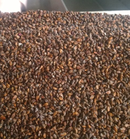 Graines de raisin biologique de mars 8% frais et humides