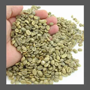 Bulk 베트남어 고품질 녹색 커피 콩 최고의 Arabica 콩 수입 고품질 원시 커피 콩