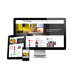 บริษัทออกแบบและพัฒนาเว็บไซต์ที่ดีที่สุดในอินเดีย | บริการออกแบบและพัฒนาเว็บไซต์ที่ได้รับรางวัลโดยWebroot Infosoft - Product Image 3