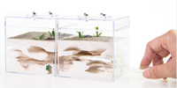 Boîte à reptiles en acrylique transparent de conception nordique minimaliste, accessoires d'aquarium, 12x6x7cm, toutes saisons