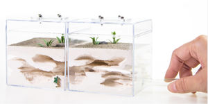 Caja de plástico acrílico transparente de diseño nórdico minimalista para reptiles, accesorios de acuario de estilo nórdico - Product Image 6